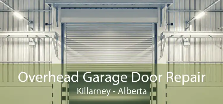 Overhead Garage Door Repair Killarney - Alberta