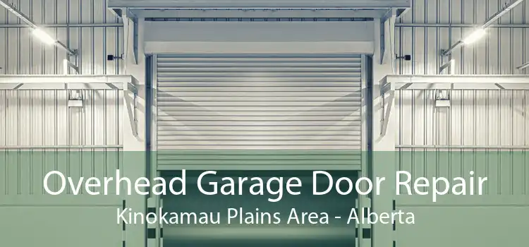 Overhead Garage Door Repair Kinokamau Plains Area - Alberta