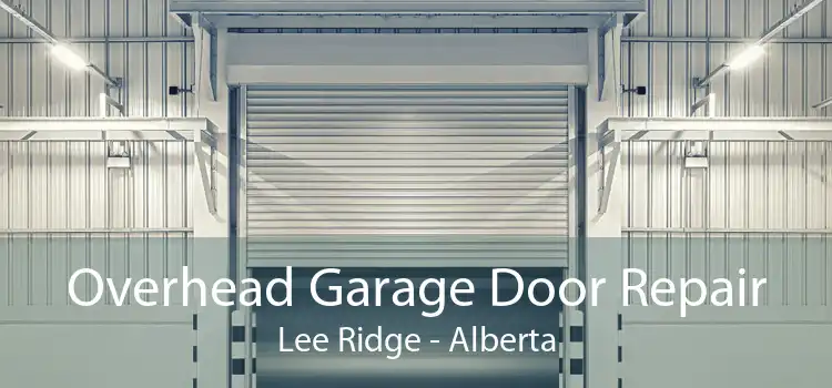 Overhead Garage Door Repair Lee Ridge - Alberta