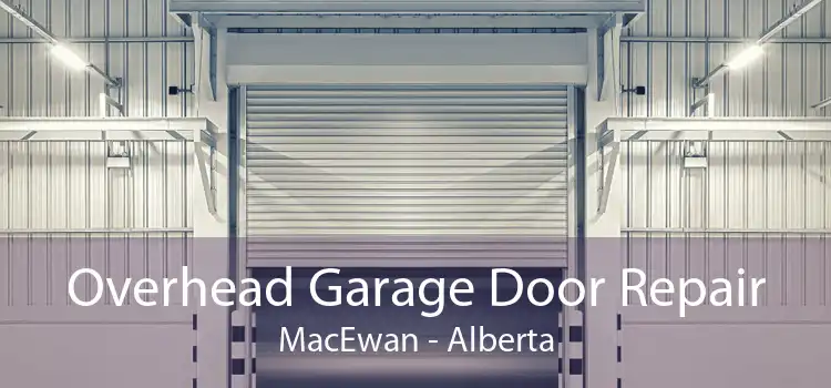 Overhead Garage Door Repair MacEwan - Alberta