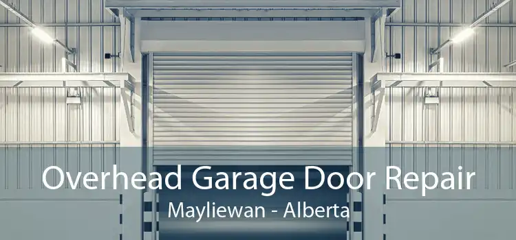 Overhead Garage Door Repair Mayliewan - Alberta