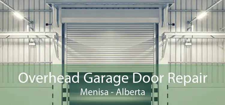 Overhead Garage Door Repair Menisa - Alberta