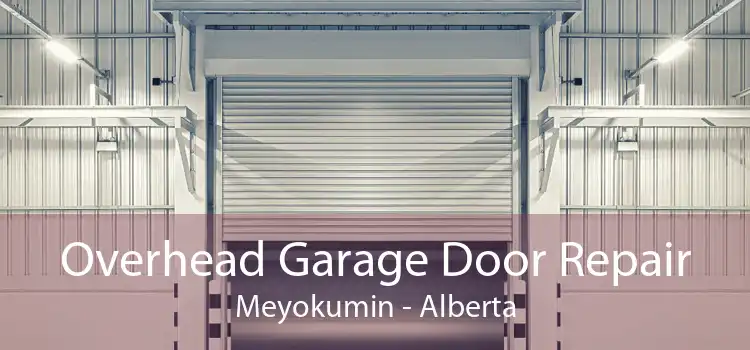 Overhead Garage Door Repair Meyokumin - Alberta