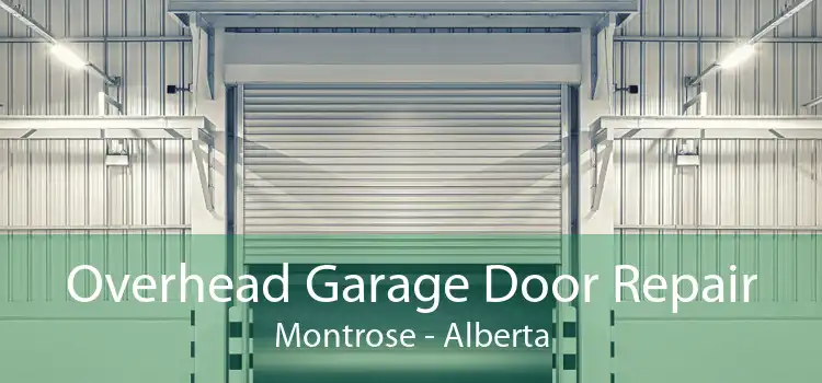 Overhead Garage Door Repair Montrose - Alberta