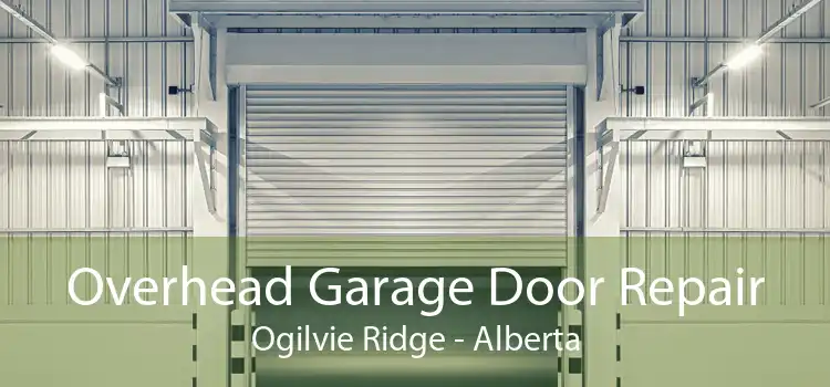 Overhead Garage Door Repair Ogilvie Ridge - Alberta