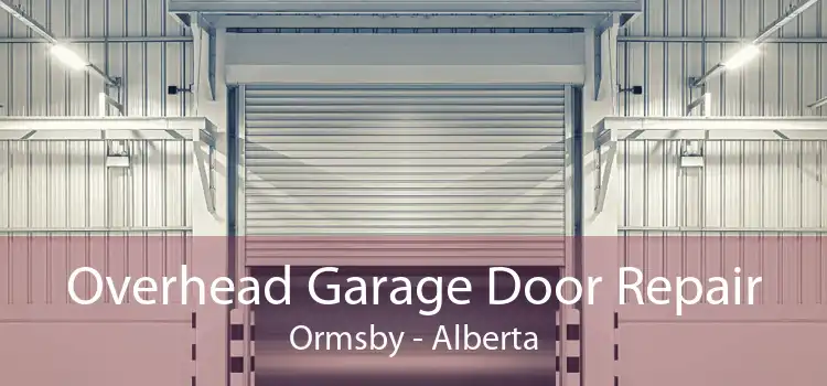 Overhead Garage Door Repair Ormsby - Alberta