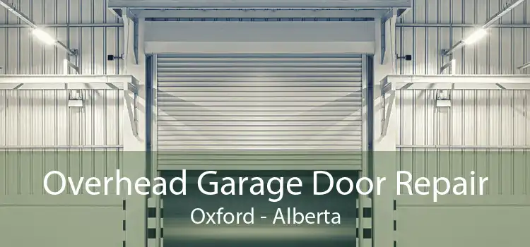 Overhead Garage Door Repair Oxford - Alberta