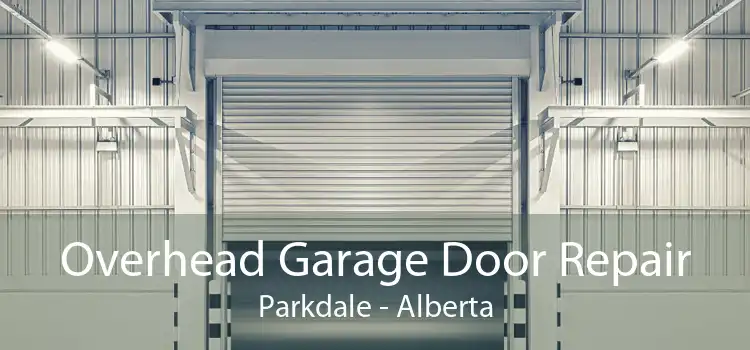 Overhead Garage Door Repair Parkdale - Alberta