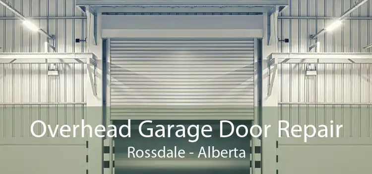 Overhead Garage Door Repair Rossdale - Alberta