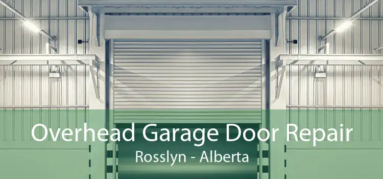 Overhead Garage Door Repair Rosslyn - Alberta