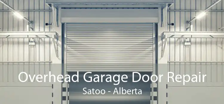 Overhead Garage Door Repair Satoo - Alberta