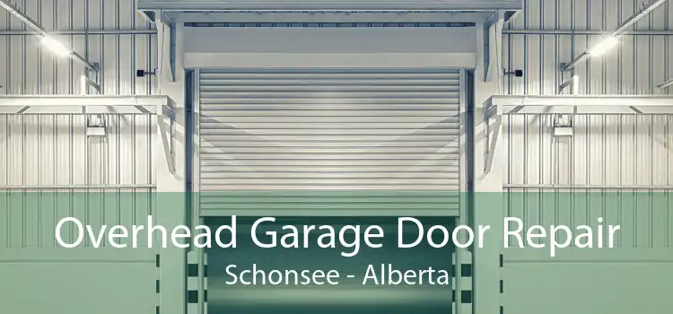 Overhead Garage Door Repair Schonsee - Alberta