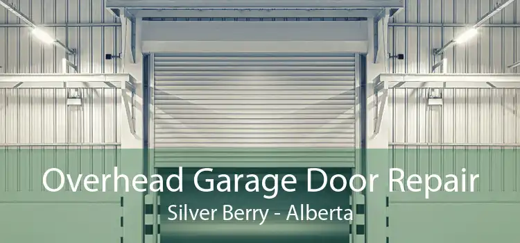 Overhead Garage Door Repair Silver Berry - Alberta