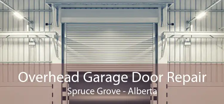 Overhead Garage Door Repair Spruce Grove - Alberta