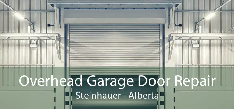 Overhead Garage Door Repair Steinhauer - Alberta