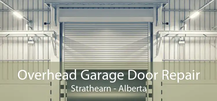 Overhead Garage Door Repair Strathearn - Alberta