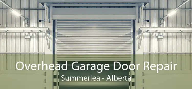 Overhead Garage Door Repair Summerlea - Alberta