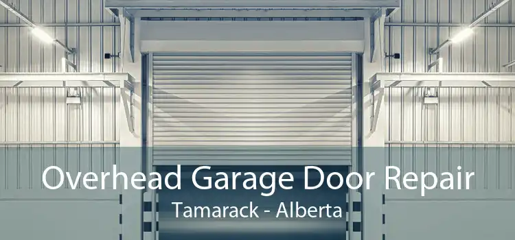 Overhead Garage Door Repair Tamarack - Alberta