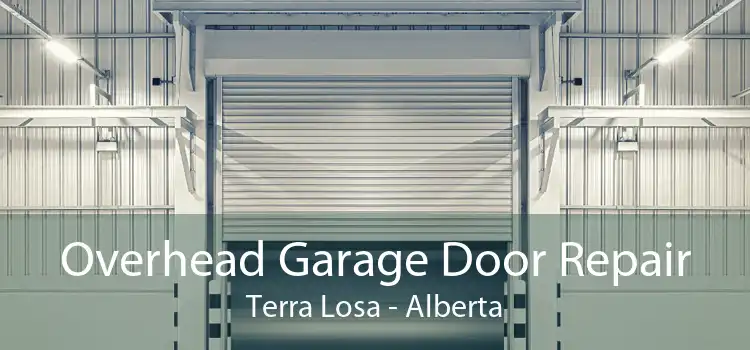 Overhead Garage Door Repair Terra Losa - Alberta