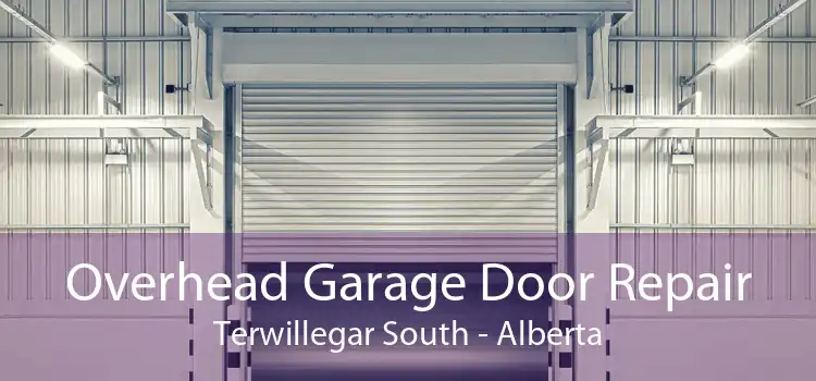 Overhead Garage Door Repair Terwillegar South - Alberta