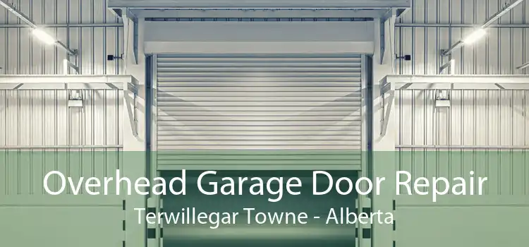 Overhead Garage Door Repair Terwillegar Towne - Alberta