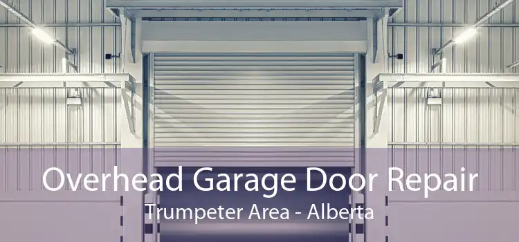 Overhead Garage Door Repair Trumpeter Area - Alberta