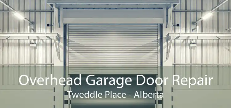 Overhead Garage Door Repair Tweddle Place - Alberta