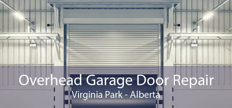 Overhead Garage Door Repair Virginia Park - Alberta