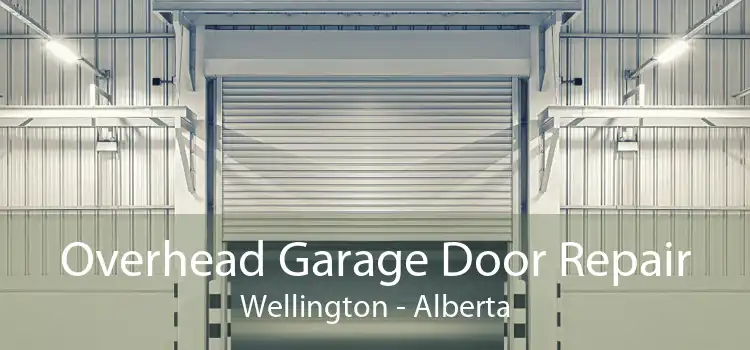 Overhead Garage Door Repair Wellington - Alberta