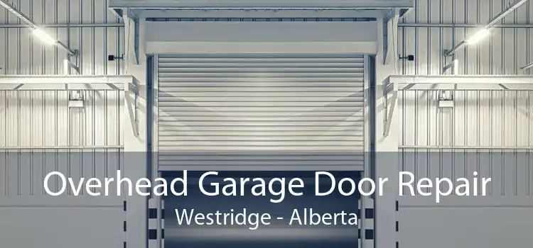 Overhead Garage Door Repair Westridge - Alberta