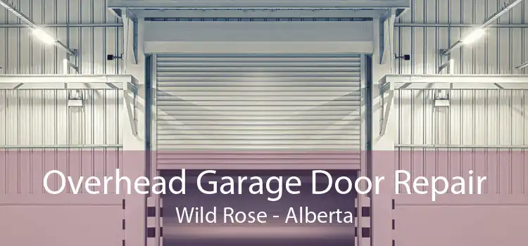 Overhead Garage Door Repair Wild Rose - Alberta