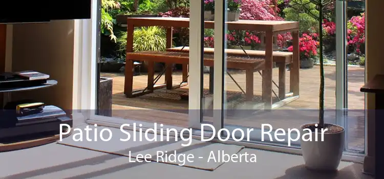 Patio Sliding Door Repair Lee Ridge - Alberta