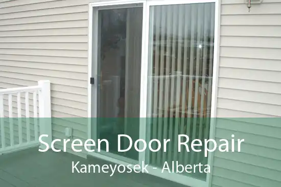 Screen Door Repair Kameyosek - Alberta