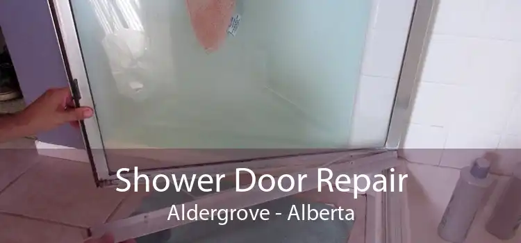 Shower Door Repair Aldergrove - Alberta