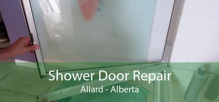 Shower Door Repair Allard - Alberta