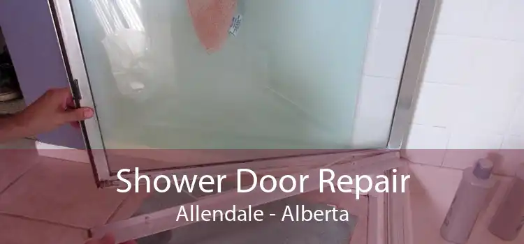 Shower Door Repair Allendale - Alberta