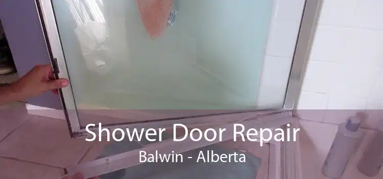 Shower Door Repair Balwin - Alberta