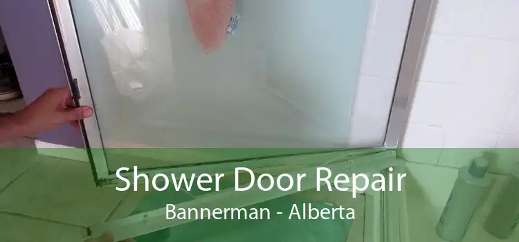 Shower Door Repair Bannerman - Alberta