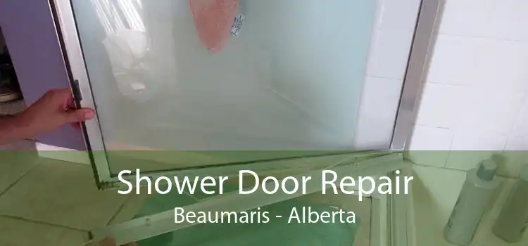 Shower Door Repair Beaumaris - Alberta