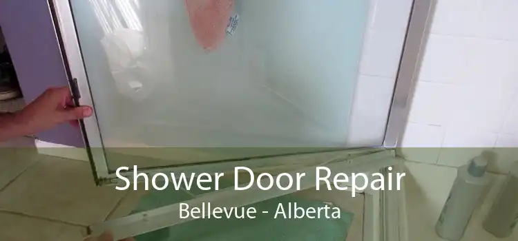 Shower Door Repair Bellevue - Alberta