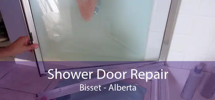 Shower Door Repair Bisset - Alberta