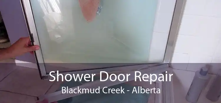 Shower Door Repair Blackmud Creek - Alberta