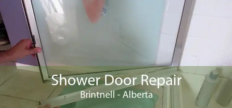 Shower Door Repair Brintnell - Alberta