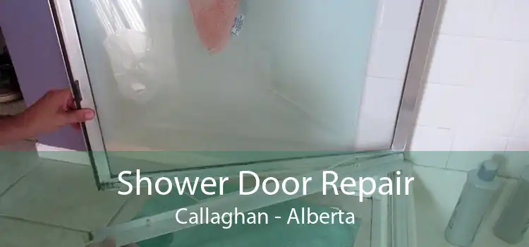 Shower Door Repair Callaghan - Alberta