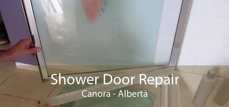 Shower Door Repair Canora - Alberta