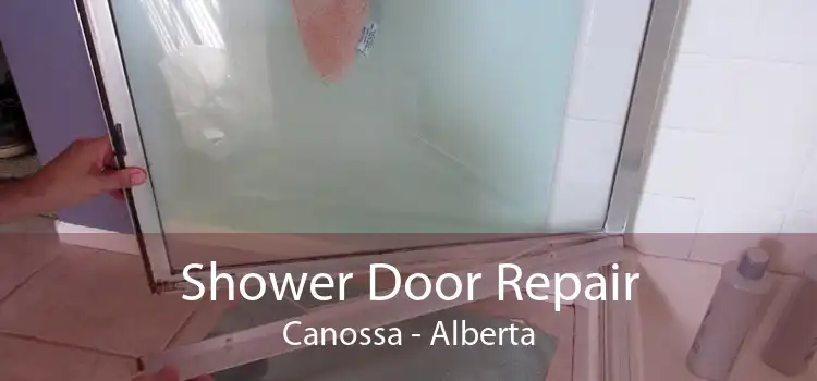 Shower Door Repair Canossa - Alberta