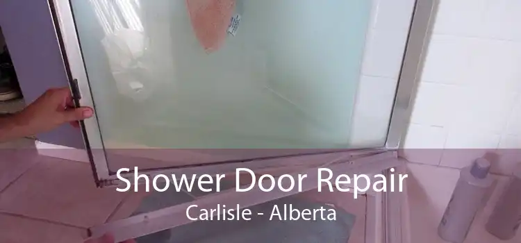 Shower Door Repair Carlisle - Alberta