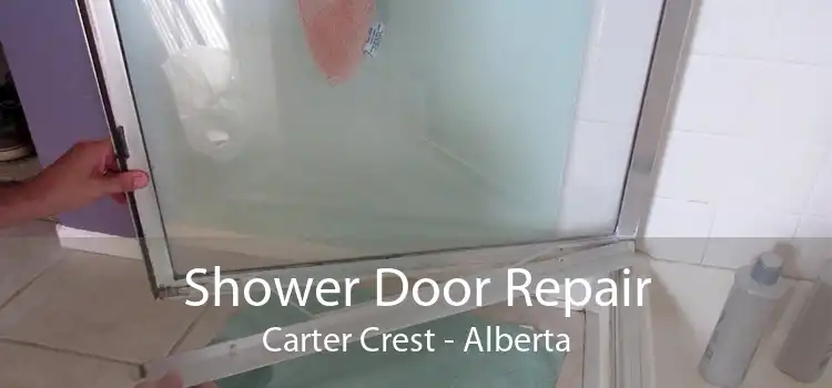 Shower Door Repair Carter Crest - Alberta