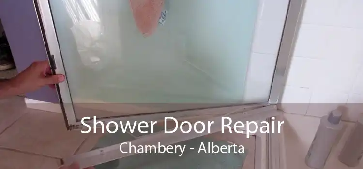 Shower Door Repair Chambery - Alberta