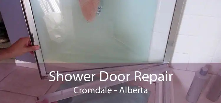 Shower Door Repair Cromdale - Alberta